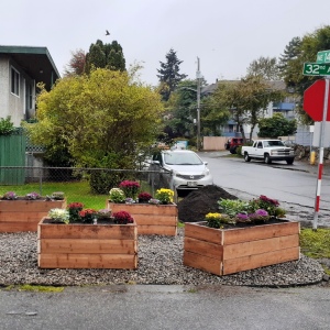Street Garden project flower pots beautify street