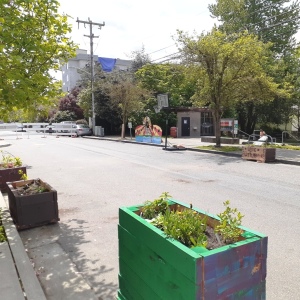 Flower pots on closed street for pedestrian access to recreation